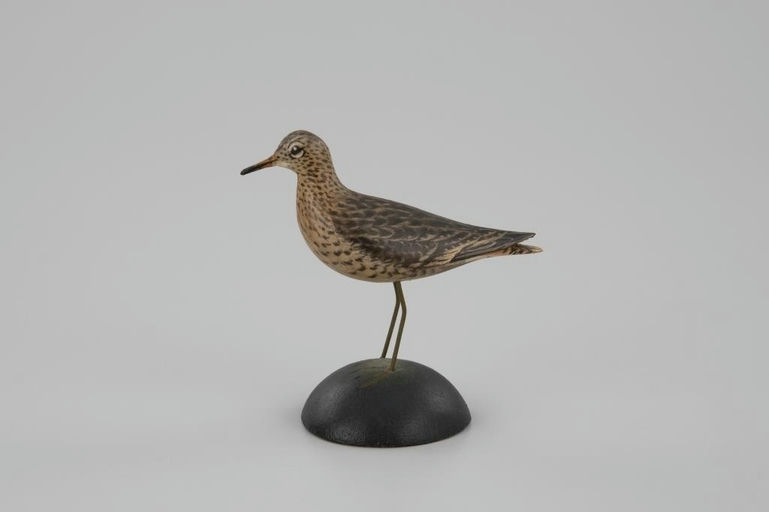 Elmer Crowell – Miniature Upland Plover – 2026