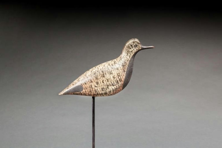Daniel Demott – Black Bellied Plover – 2015