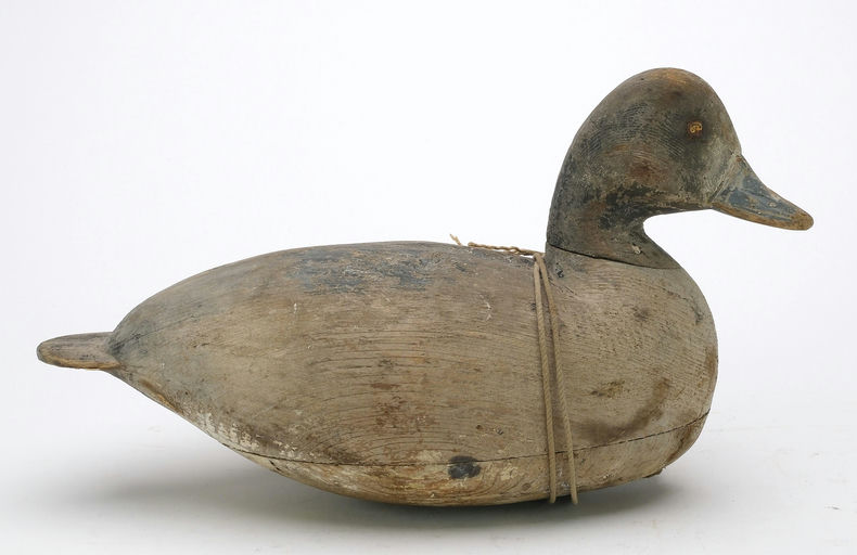 Ira Hudson – Bluebill Hen – 2024