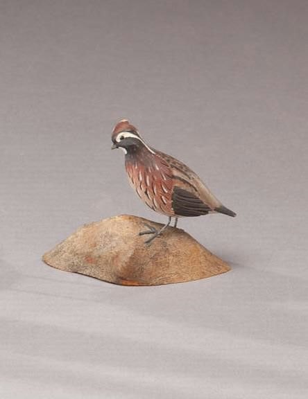Russ Burr – Miniature Bobwhite Quail – 2011