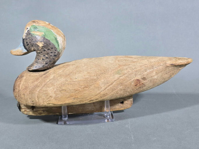 Oliver Lawson – Wigeon – 2026