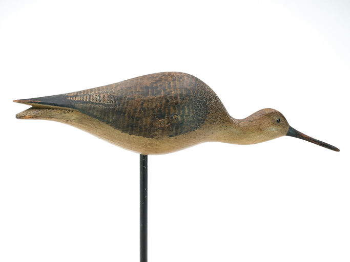 Mark McNair – Feeding Yellowlegs – 2025