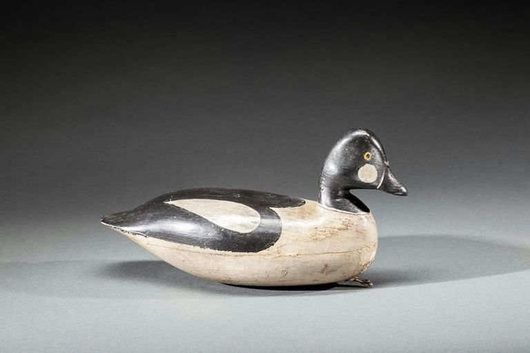 Harry V. Shourds – Goldeneye Drake – 2015