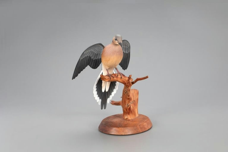 Oliver Lawson – Mourning Dove – 2021