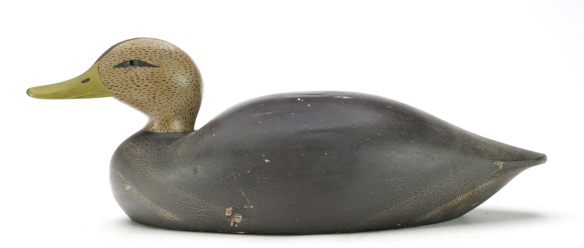 Keyes Chadwick – Black Duck – 2025