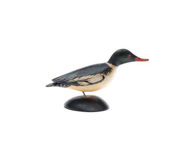 Elmer Crowell – Miniature Merganser – 2025