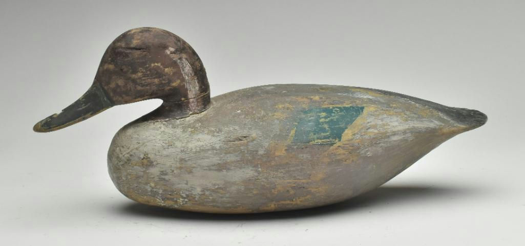 Ira Hudson – Pintail – 2023