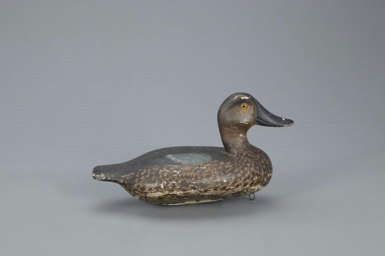 Glenn Cameron – Blue-Winged Teal – 2020