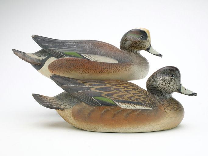 Ward Brothers – Pair of widgeons – 2024