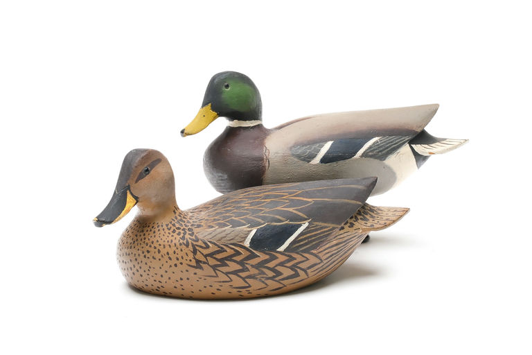 Ward Brothers – Pair of Mallard – 2026