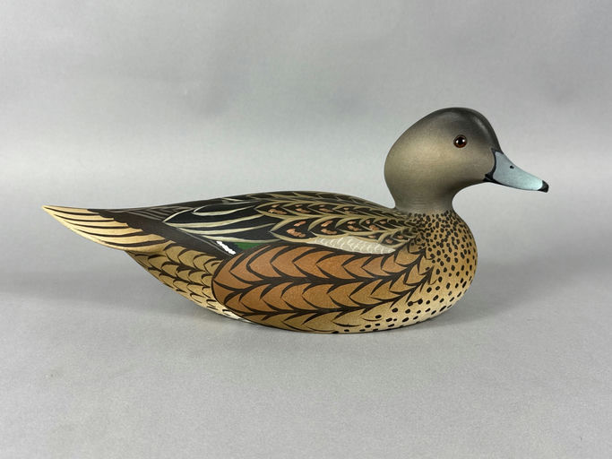Oliver Lawson – Wigeon – 2026