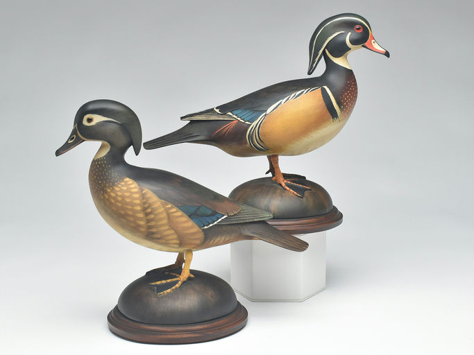 Bill Gibian – Pair of Standing Wood Duck – 2023