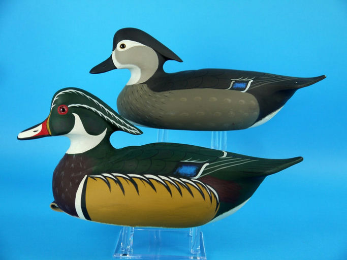 Art Birdsall – Wood Duck Pair – 2026