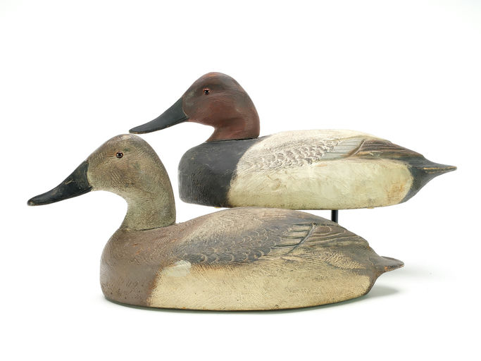 Ben Schmidt – Pair of Canvasbacks – 2025