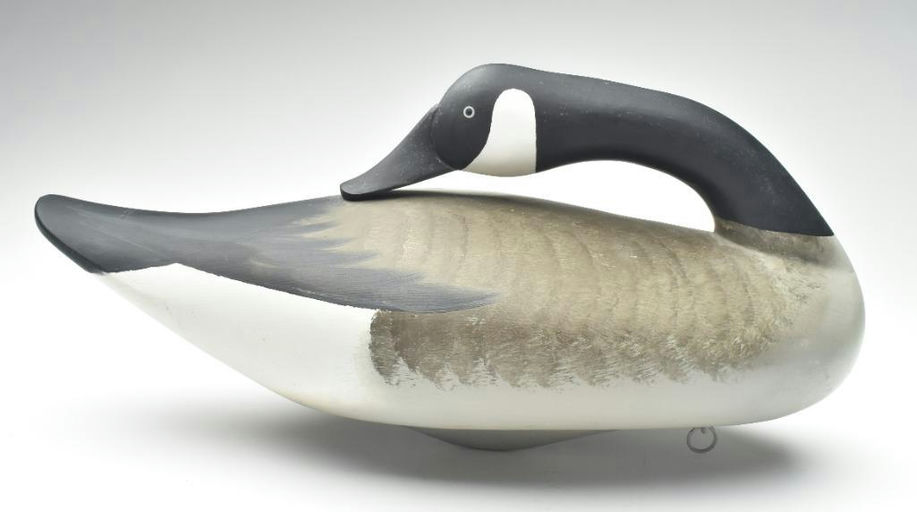 Charlie Joiner – Preening Canada Goose – 2023