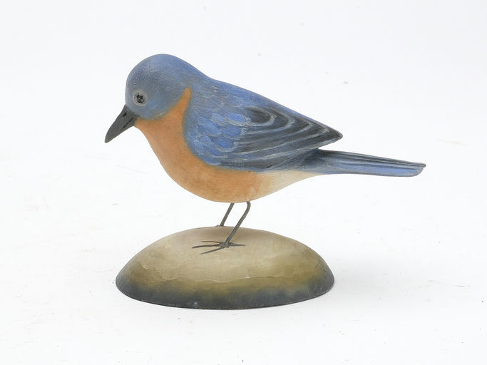 Frank Finney – Eastern bluebird – 2023
