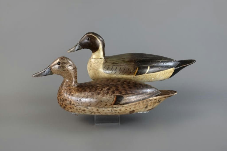 Bert Graves – Pintail Pair – 2025