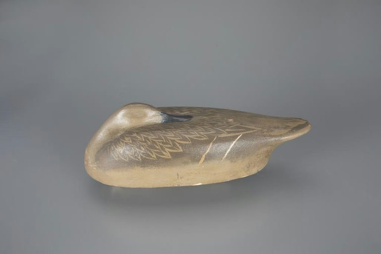 Ed Snyder – Early Preening Pintail Hen – 2024