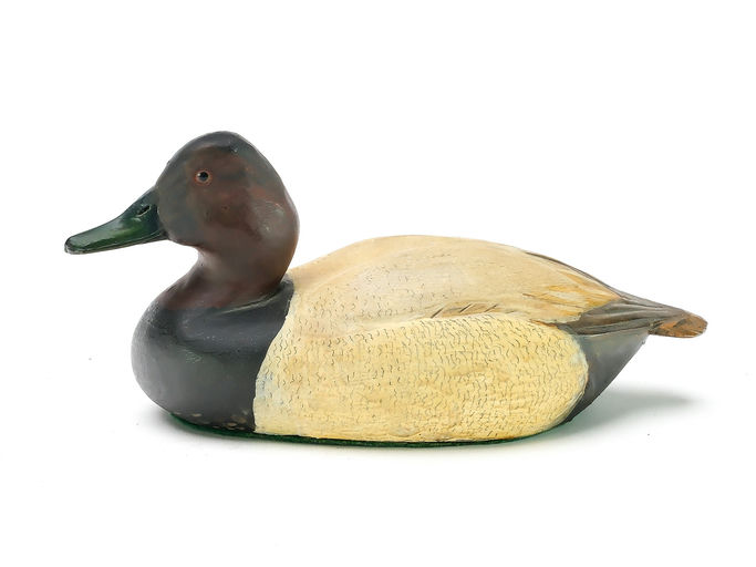 Tom Schroeder – Canvasback – 2025