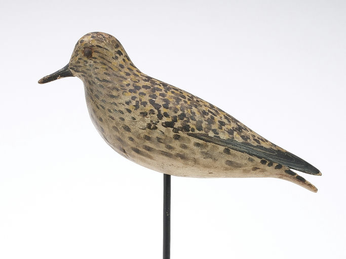Elmer Crowell – Black Bellied Plover – 2024