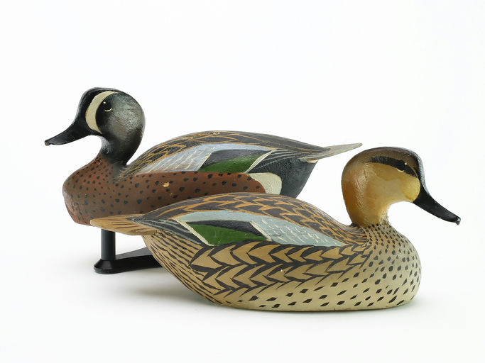 Ward Brothers – Pair of miniature bluewing teal – 2025