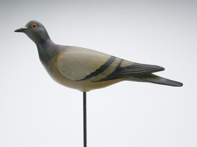 Bill Gibian – Pigeon – 2024