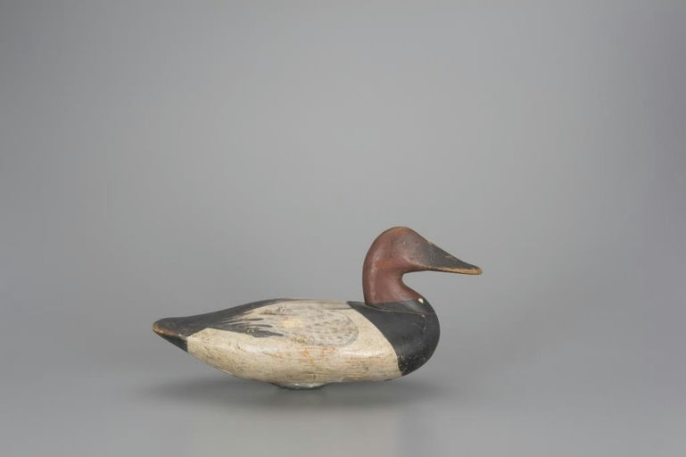 James Holly – Canvasback Drake – 2018