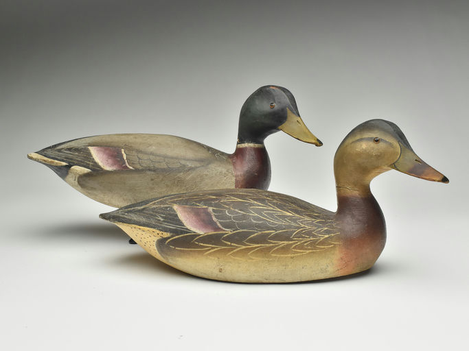 Ward Brothers – Pair of mallards – 2023