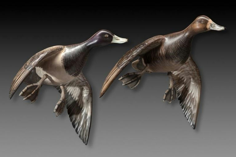 Mike Borrett – Flying Bluebill Pair – 2014