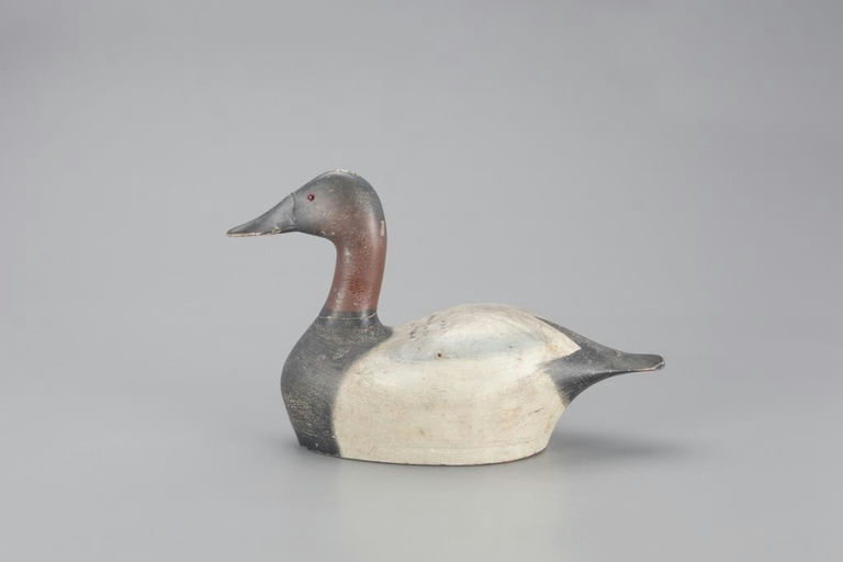Joseph Sieger – High-head Canvasback Drake – 2021
