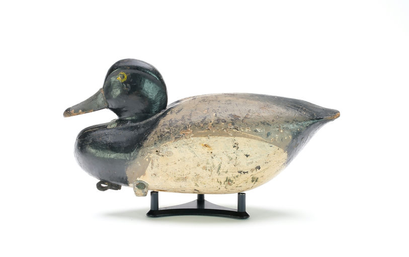 Eli Doughty – Scaup – 2025