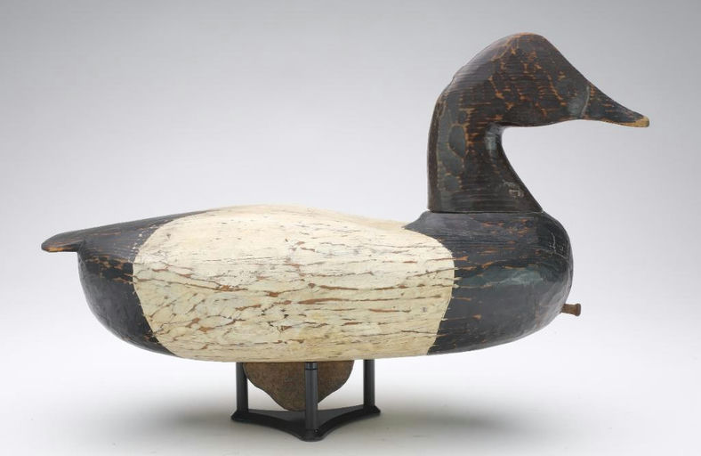 Frank Finney – Canvasback – 2023