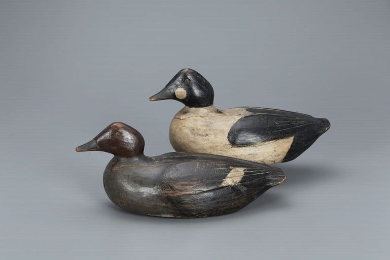 Gus Wilson – Goldeneye Pair – 2019