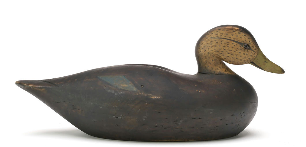 Joseph Lincoln – Black Duck – 2025