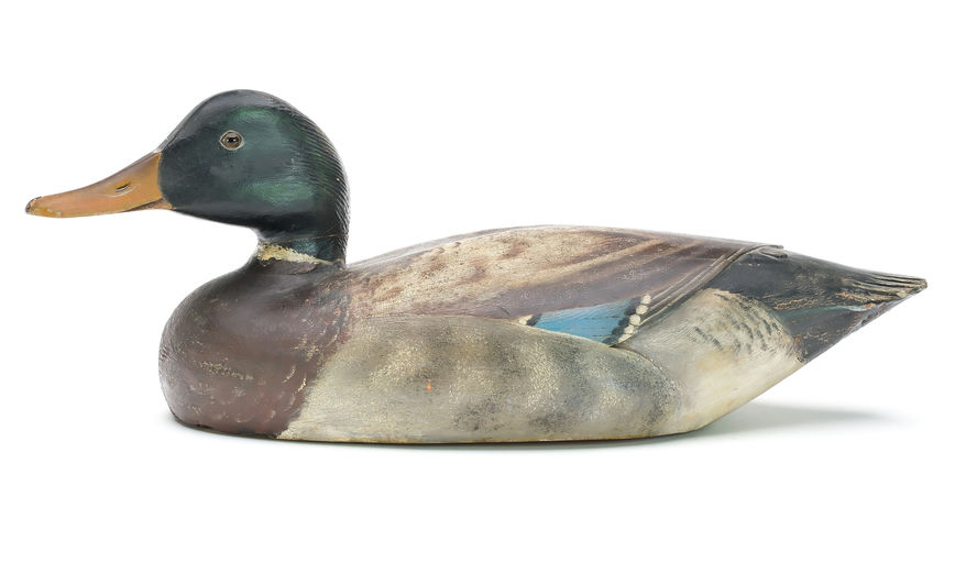 Elmer Crowell – Mallard – 2025