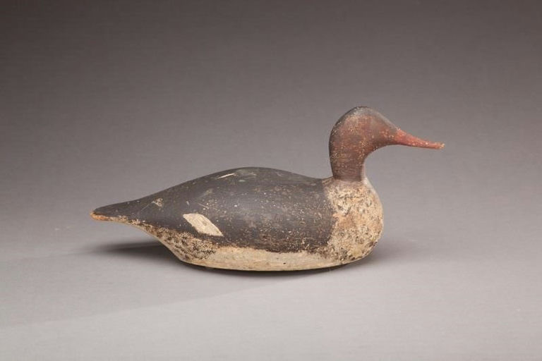Allen P. Stuart – Red-breasted Merganser Hen – 2012