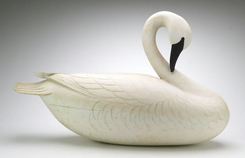 George Strunk – Preening Swan – 2024