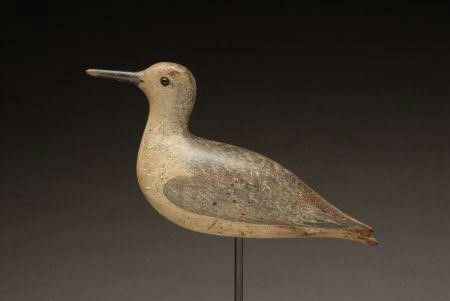 John Dilley – Rare Willet – 2007