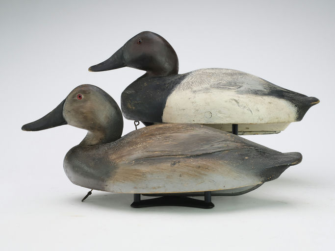 Ben Schmidt – Pair of Canvasbacks – 2024