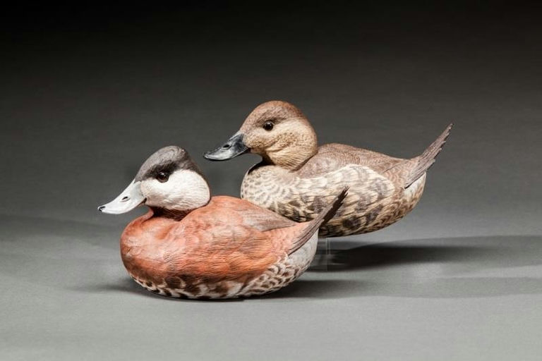 Reagan Danos – Ruddy Duck Pair – 2015