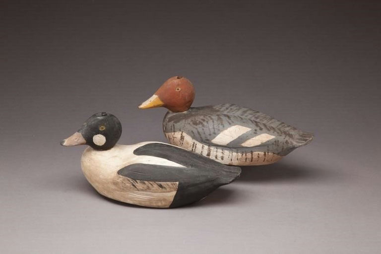 Gus Wilson – Goldeneye Pair – 2011