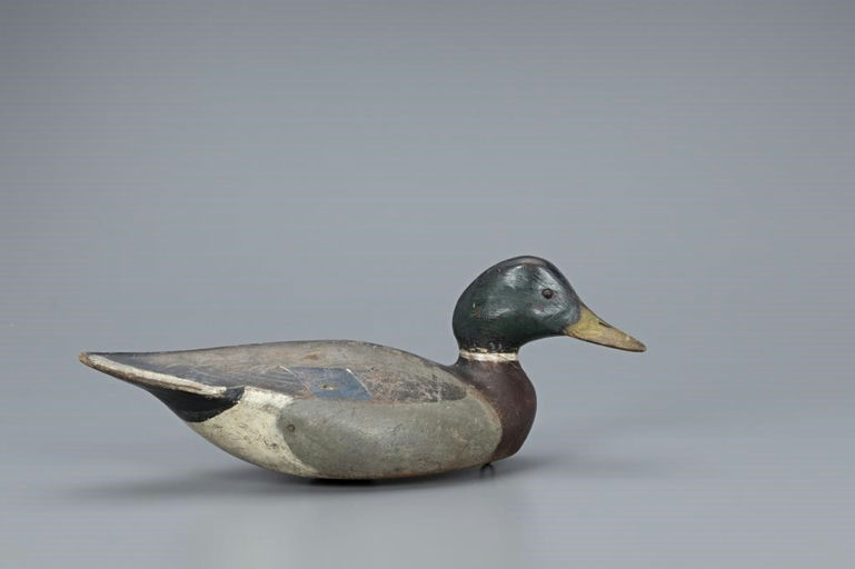 Ward Brothers – Mallard Drake – 2019