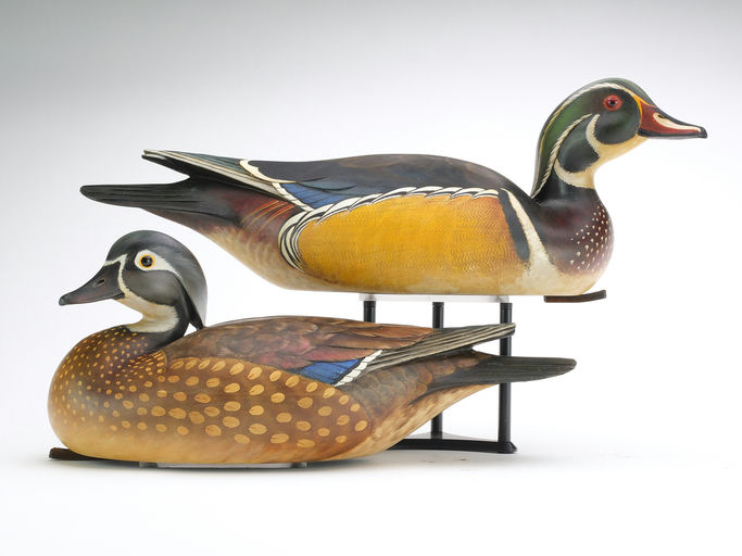 Bill Gibian – Pair of Wood Duck – 2024