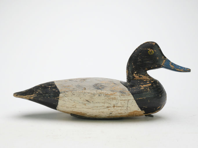 Doug Jester – Scaup – 2024