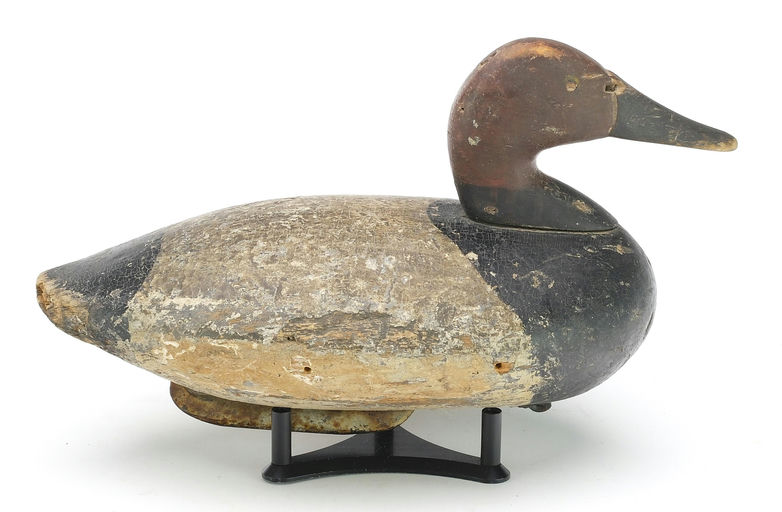 John Daddy Holly – Canvasback – 2024