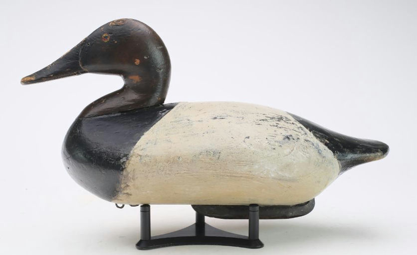 John Daddy Holly – Canvasback – 2024