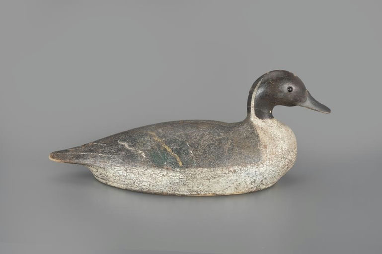 Nate Quillen – Pintail Drake – 2024