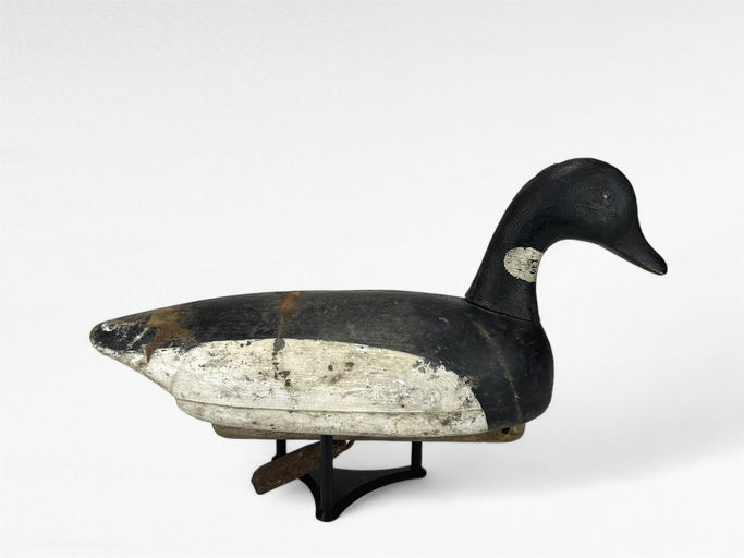 John Boyle — Swimming Brant