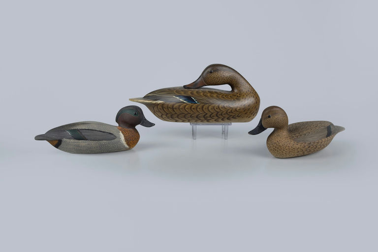 Virgil Lashbrook – Teal Pair and Preening Mallard Hen – 2026