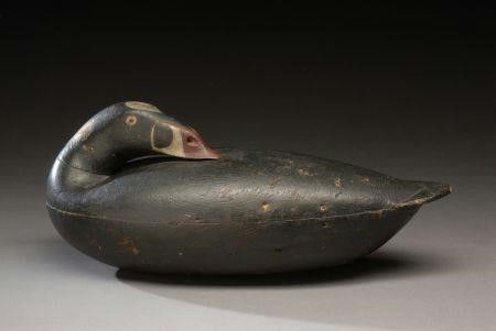 Albert Laing – Hollow-Carved Sleeping Scoter – 2007